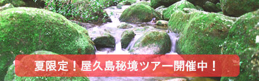 秘境ツアー